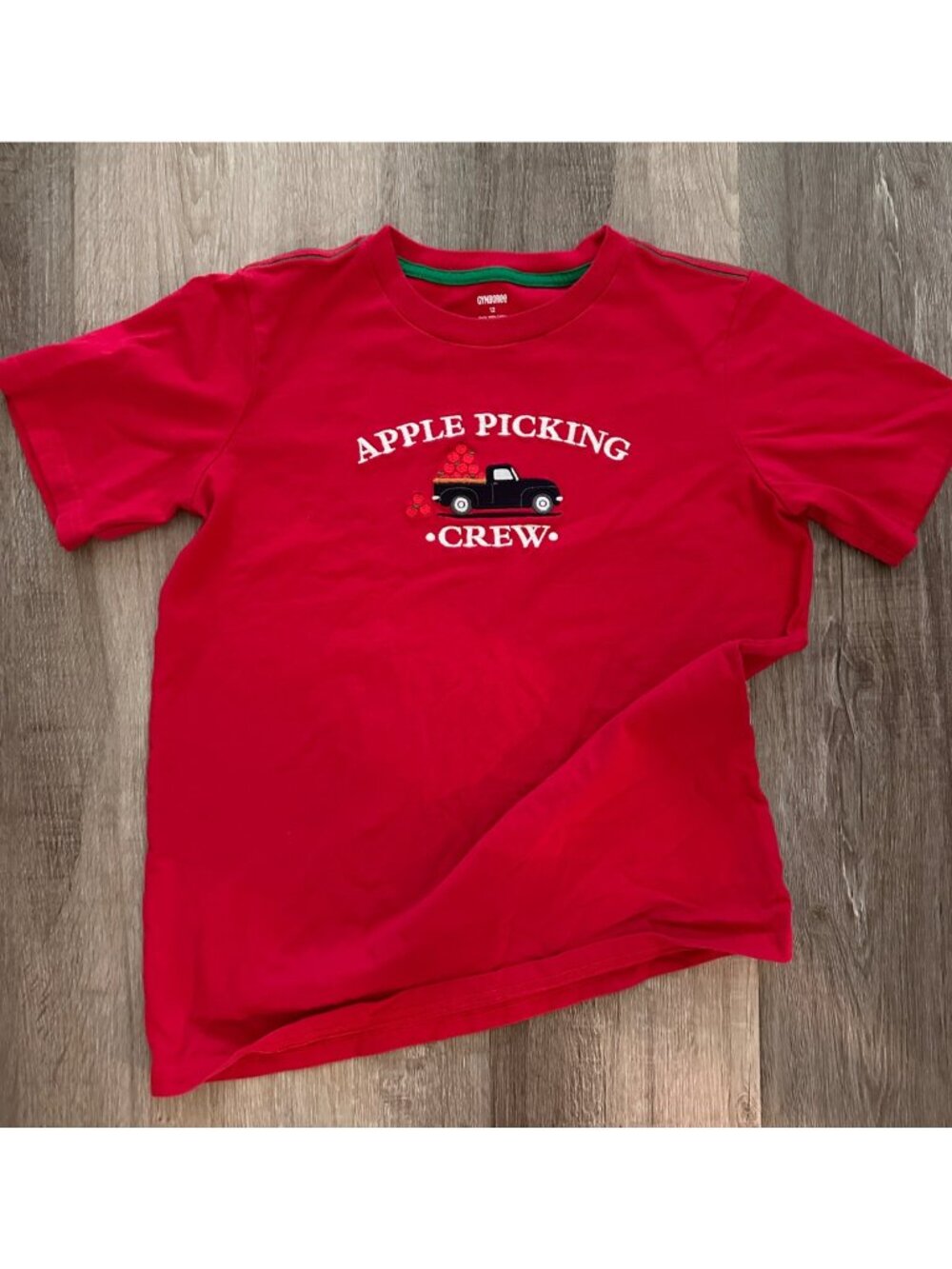 Gymboree apple picking crew truck Tshirt size 12